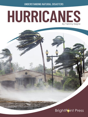 cover image of Hurricanes